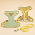 Harnais pastel vert avec laisse pour chat