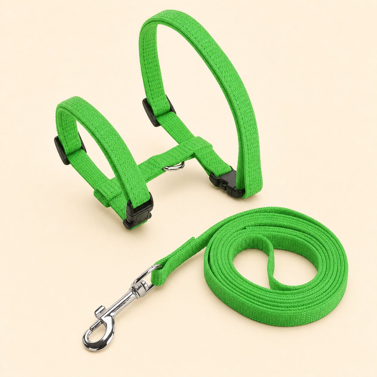 Harnais nylon vert avec laisse pour chat