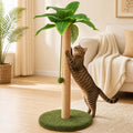Griffoir palmier pour chat 84 cm utilisé par un chat