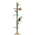 Arbre à chat vert du sol au plafond à cinq niveaux