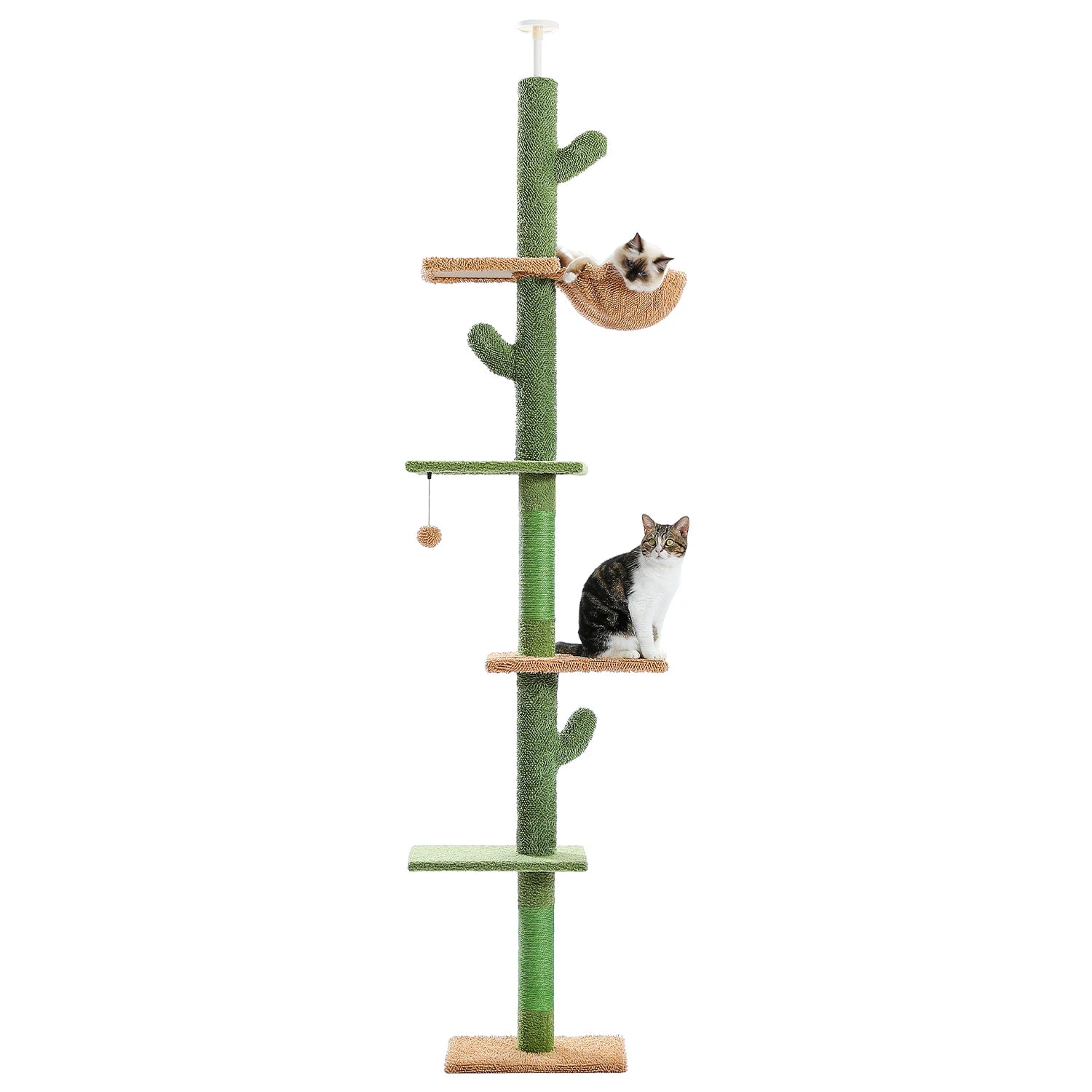 Arbre à chat vert du sol au plafond à cinq niveaux