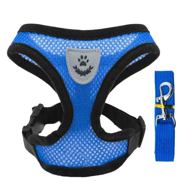 Harnais en maille avec laisse pour chat – 5 coloris — Bleu