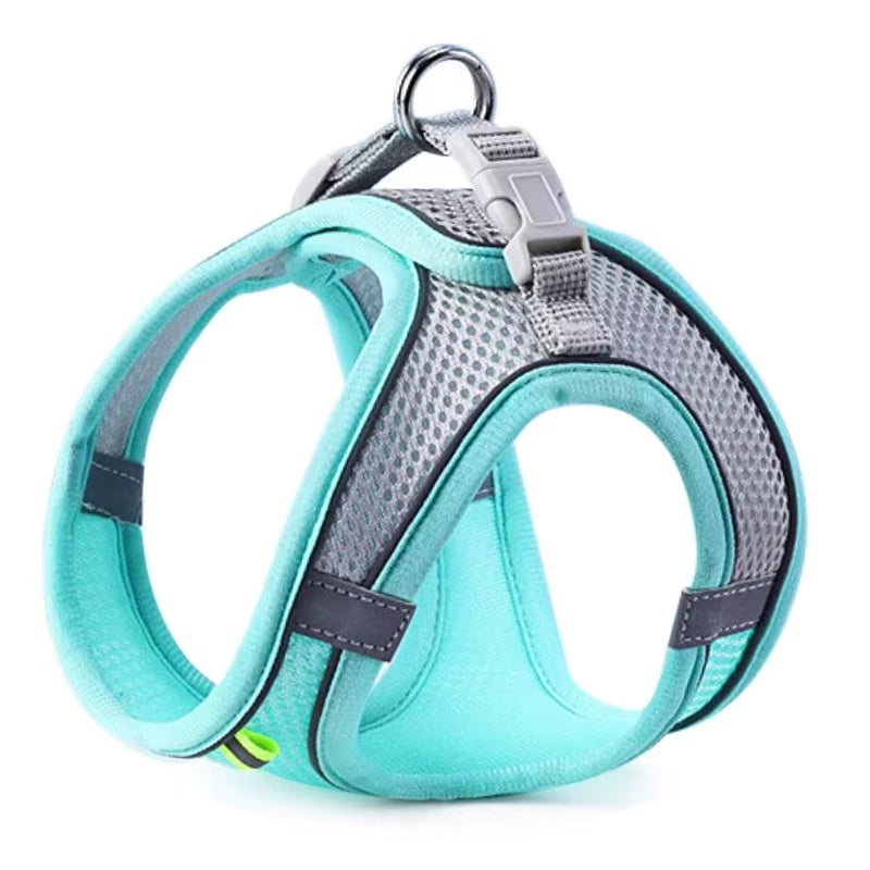 Harnais réfléchissant bicolore avec laisse pour chat – 3 coloris — Bleu turquoise