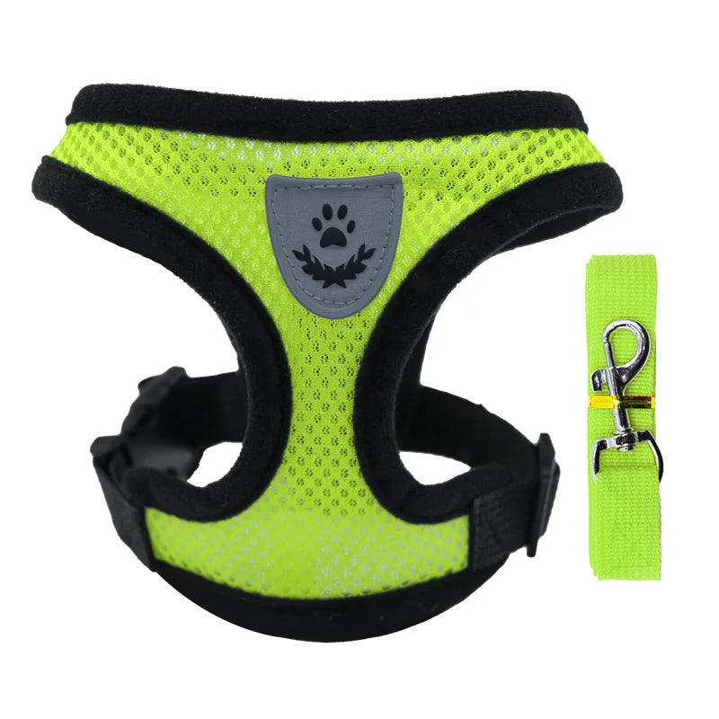 Harnais en maille avec laisse pour chat – 5 coloris — Vert