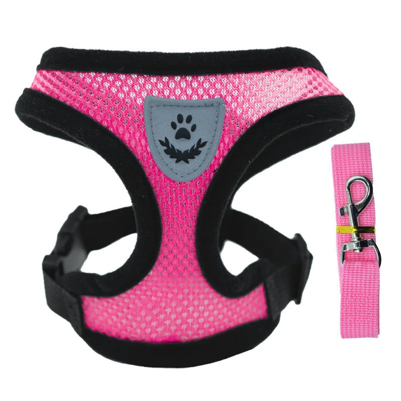 Harnais en maille avec laisse pour chat – 5 coloris — Fuchsia